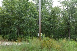 property photo for Springlake Plat 2 Tract 29, 0.19 acres for sale in Miller County, Missouri